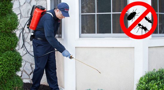 Yalova Hamam Böceği İlaçlama böcek ilaçlama ve haşere kontrolü — ilaclama-tr.com